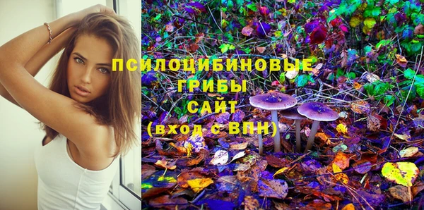 гидра Волосово