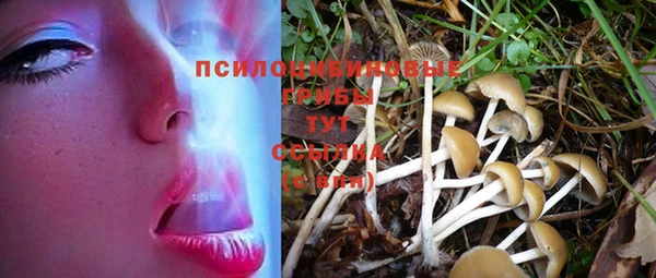 индика Вязники