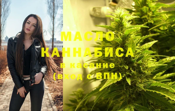 индика Вязники